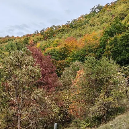 Holiday home Casa Dami *