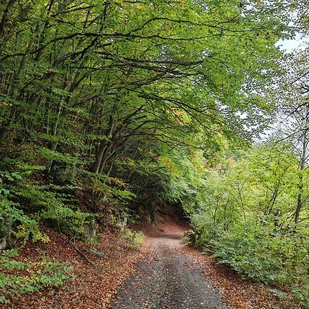 Casa Dami Campo di Giove