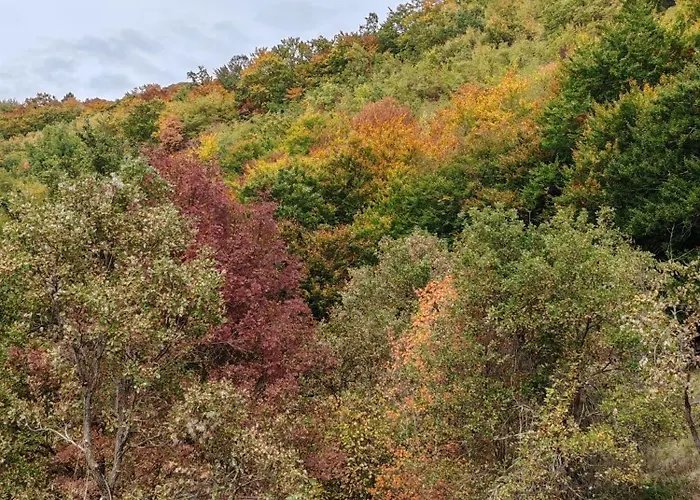 Vakantiehuis Casa Dami *