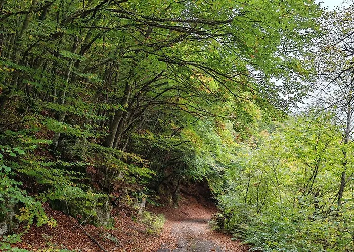 Casa Dami Campo di Giove